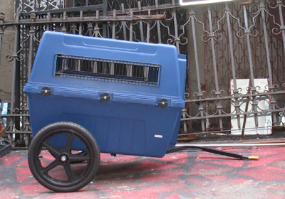 BicycleR Evolution Pet trailer.