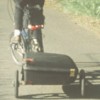 My new Bike Friday, inside the suitcase/trailer. Photo by Dave Favello.
