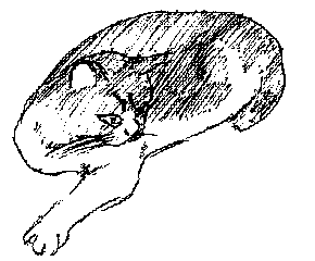 Pencil Sketch of Kemo in Lowell, 1988. Illustration by Jym Dyer.