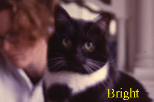 Bright in 2002 (with Stacia)