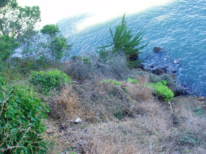 Black Point. Photo by Jym Dyer. Black Point. Photo by Jym Dyer.