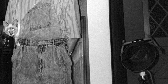 Sigh in Overalls, in Fremont, 1989