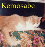 Kemosabe